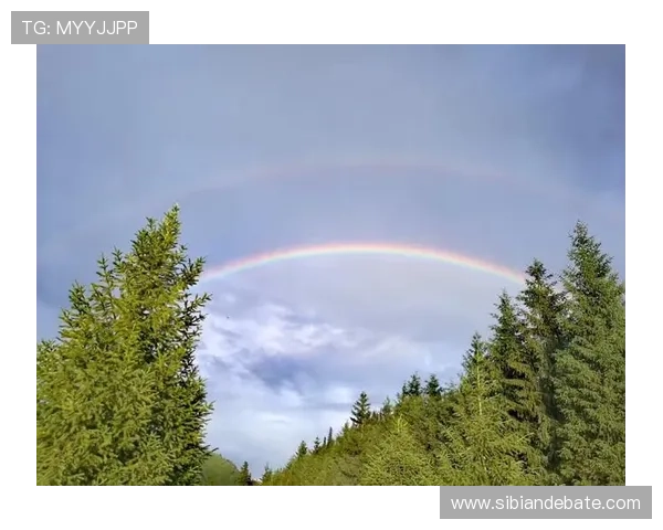 彩虹罗曼史：爱，本就斑斓绚丽