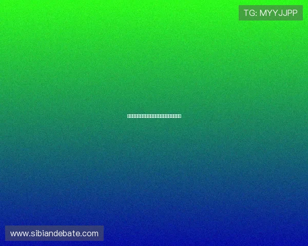 包拯大人来了：铁面无私，照亮黑暗的公正之光